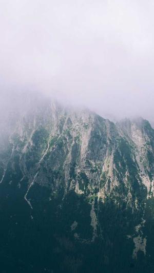 黑青玉籽料截图4