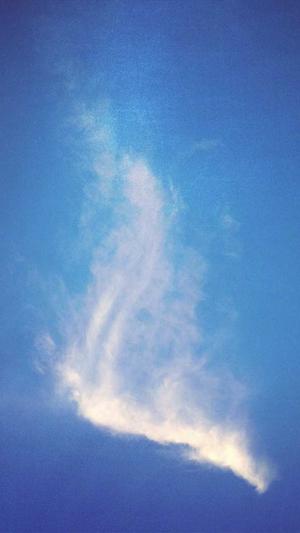 黑青玉籽料截图2